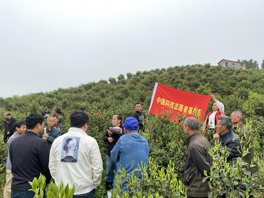 图片3_副本.png